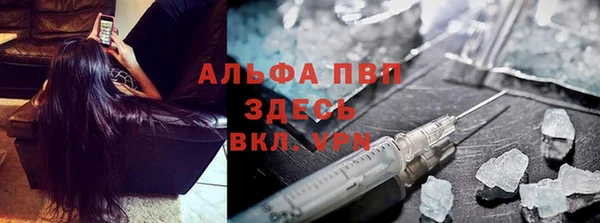 альфа пвп Новодвинск