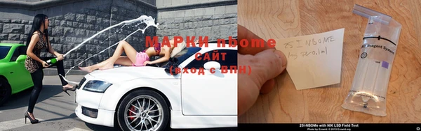альфа пвп Новодвинск
