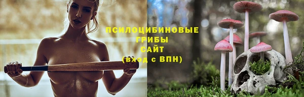 альфа пвп Новодвинск