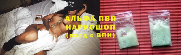 трава Няндома