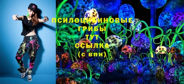 сатива Новокубанск