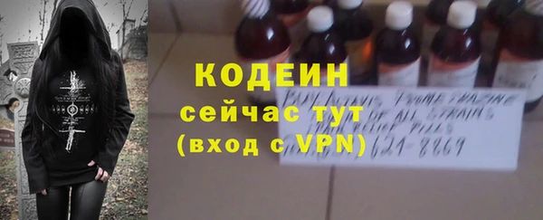 трава Няндома