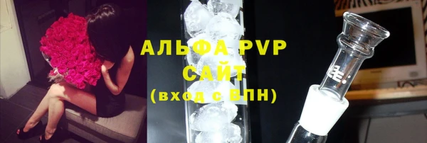 трава Няндома