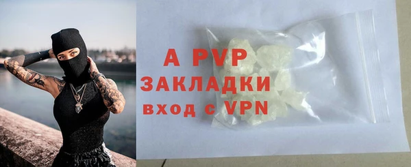альфа пвп Новодвинск