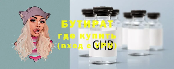 трава Няндома
