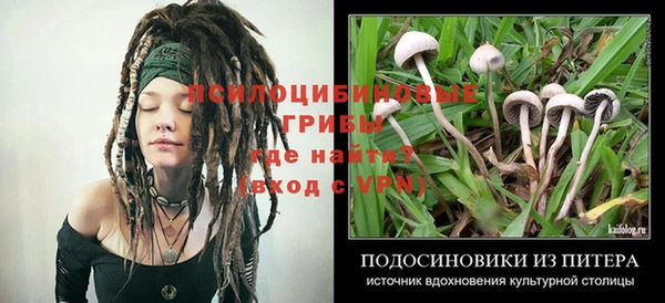 гидропоника Нея