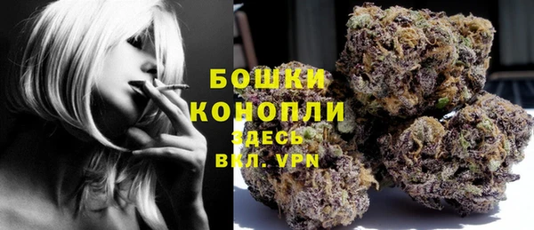 сатива Новокубанск