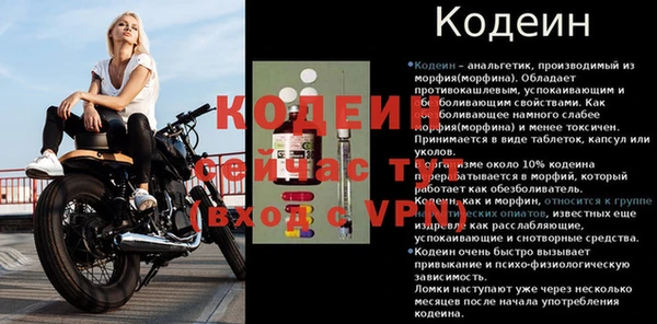 альфа пвп Новодвинск