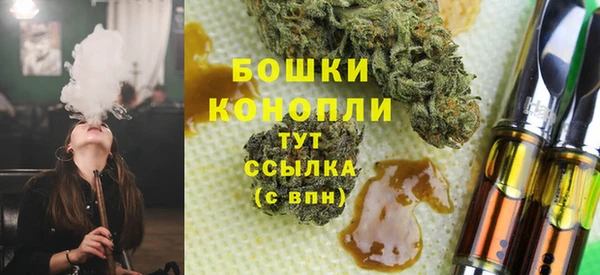 альфа пвп Новодвинск