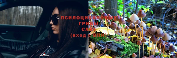 трава Няндома