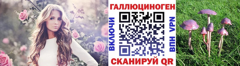 Галлюциногенные грибы мицелий  закладки  Озёрск 